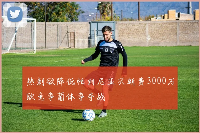 热刺欲降低帕利尼亚买断费3000万欧竞争葡体争夺战